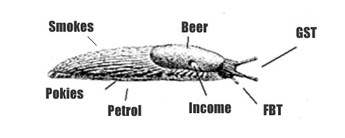 The Tax Slug: Eating all your money!!1!1