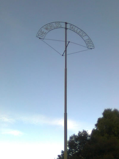 TallestTree3 Metal pole with "World's Tallest Tree" in lettering at the top