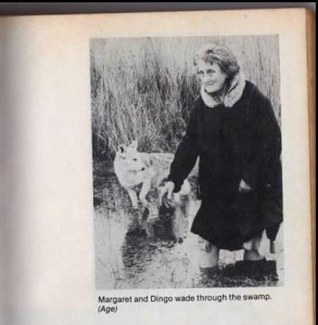Picture of Margaret Clement of Tullaree wading through the swamp with her dog, Dingo.