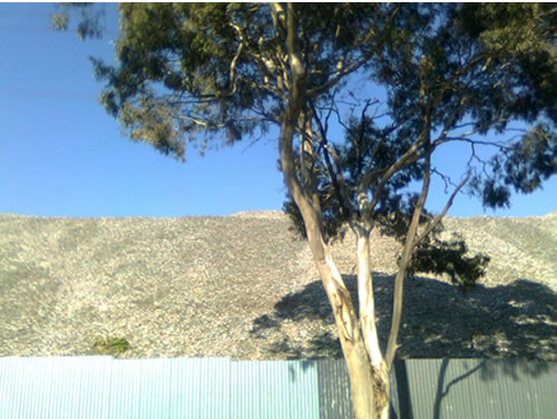A big pale grey pile of recycled plastic with a gum tree