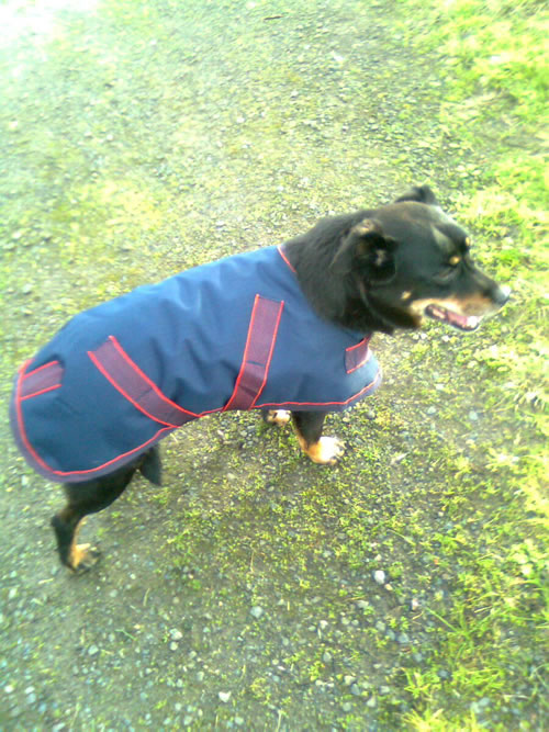 Maggie wearing her new blue coat